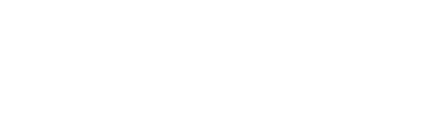 ApexMacro Financial Group